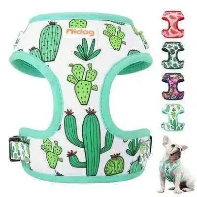 Cactus Cutie Mesh Dog Harness